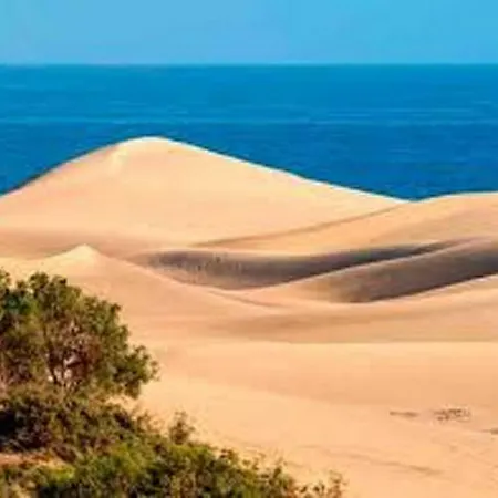 Duna Flor Maspalomas (Gran Canaria)