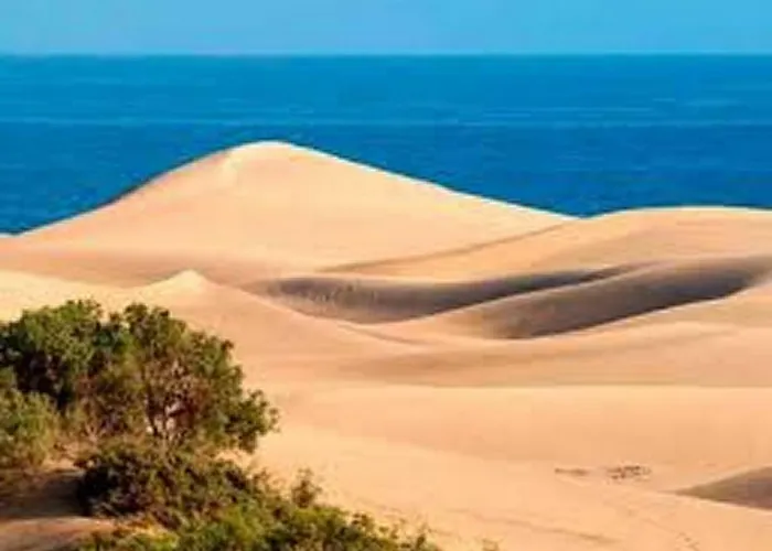 Duna Flor Maspalomas (Gran Canaria)